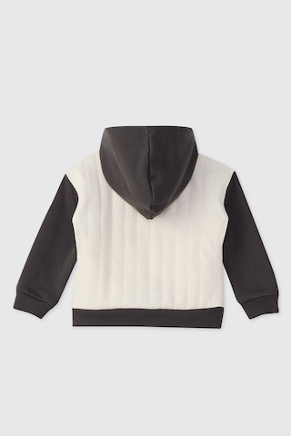 Panço Erkek Bebek Dinozor Baskılı Antrasit Sweatshirt Gri