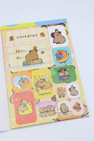 Capy Bara Sticker Albüm Çok Renkli