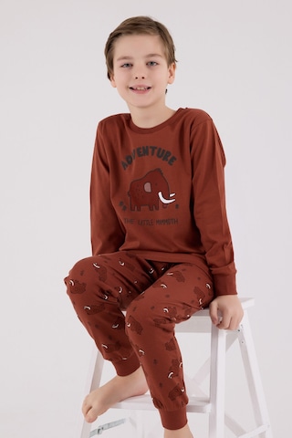 Rolypoly Erkek Çocuk Kahverengi Pijama Takımı Rp3667-c-v1