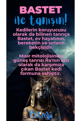 Petjoo 1.Bastet Mavi-Pembe Qr'lı Kedi Künyesi