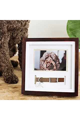Pearhead Pet Yaka Hatıra Çerçevesi, Evcil Hayvan Anıtı Resim Çerçevesi, Evcil Hayvan Sahibi Ev Dekoru, Kedi Veya Köpek Hatırası, 3 "x 4.5" Fotoğraf Ekleme, Duvara Montaj Ve Masa Üstü Çerçeve, Espresso