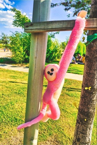 Sevimli Sarılan Sesli Maymun Pembe PEMBE