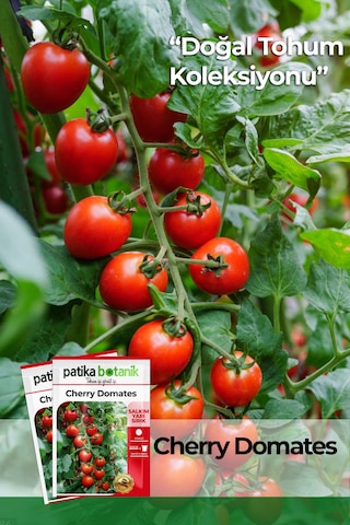 Yerli Ata Cherry Domates Tohumu 80 Adet