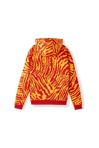 Gsstore Galatasaray Çocuk Hoodie C252110 Kırmızı