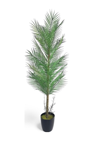 Yapay Ağaç Palmiye 155 50cm 30yaprak Areka Ağacı Siyah Saksıda Tek Gövdeli