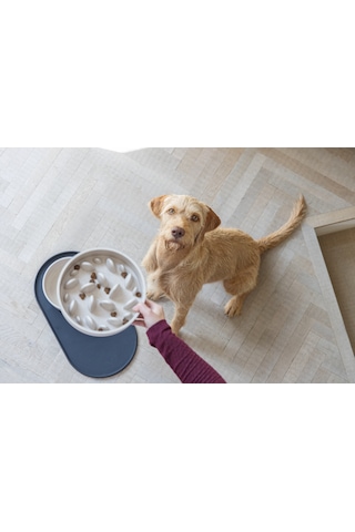 Beeztees Dbl Köpek Yavaş Besleme Mama Kabı, Bambu, Bej, 21cm, 143