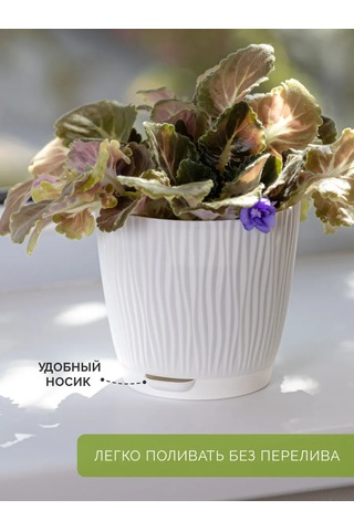 Al' Ternatıva İç Mekan Çiçek Saksıları 414483247