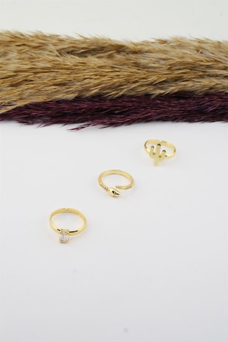 Kadın Özel Tasarım Ayarlanabilir Numarasız Zirkon Taşlı Kaktüs Ve Yılan Figürlü 3'lü Kombin Yüzük Seti-3133 Altın