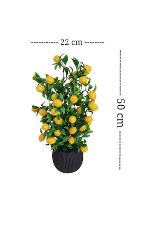 Limon Ağacı Mutfak Süsü 50 Cm Antrasit Saksıda