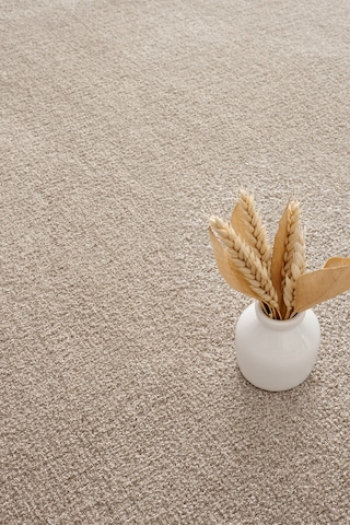 Bali Vizon Daire Halı Salon Oturma Odası Çocuk Odası Yatak Odası Halısı 4500