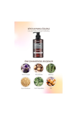 Kırılma Karşıtı Besleyici Bakım Şampuanı Kundal Honey& Macadamia Nature Shampoo 500ml Blackberry Bay