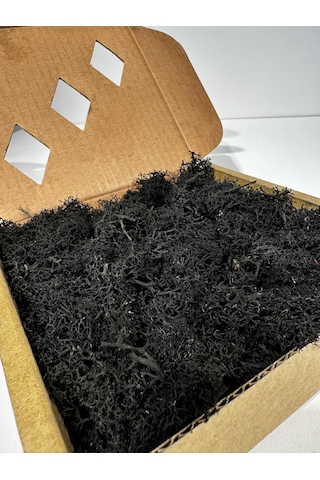 Reindermoss Şoklanmış Norveç Yosunu Terarium Yosunu Siyah 100 Gr.