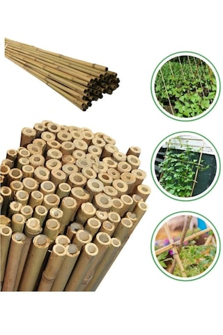 50 Adet Bambu Bitki Fidan Destek Çubuğu 1 Metre