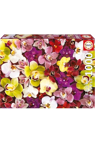 Educa 1000 Parça Orkide Çiçek Kolajı - Orchid Collage - 19558