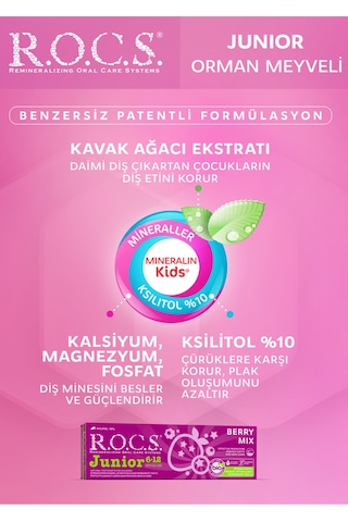 Rocs Junior 6-12 Orman Meyveli Özlü Diş Macunu 2 x 74 G