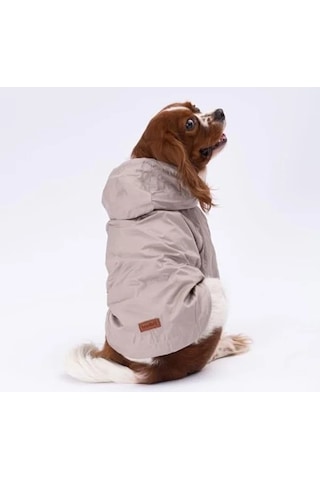 2as 3xl Boyutunda Vizon Renkli Yağmurluk Mont, Köpekler İçin 142335