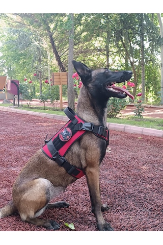 Tactical Göğüs Tasması Taktik Tasma Kırmızı