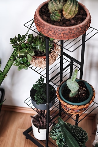 Metal 5 Katlı Raflı Dikey Saksı Standı Çiçeklik