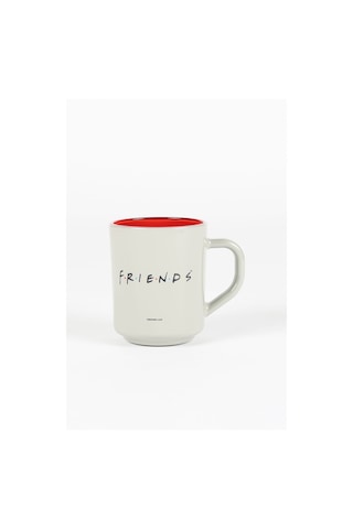 Rakle Friends Kupa Gri 246 Cc Renkli