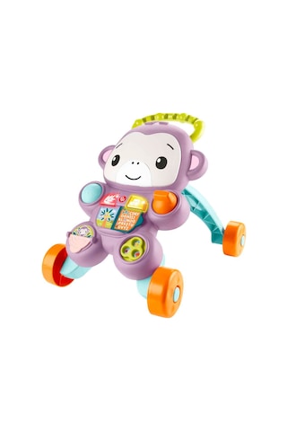 Fisher-price Benimle Öğren Mor Maymun Yürüteç Jgw94