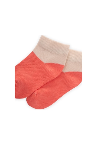 Cigit İki Renkli Bebe Patik Çorabı 0-4 Yaş Yavruağzı Yavruağzı