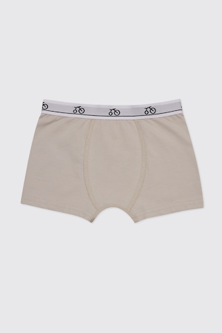 Panço Erkek Çocuk 3'lü Multi Boxer Seti 2602bk14003 Renkli