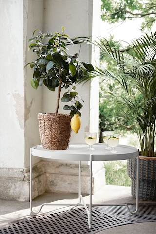 Rattan Saksı, Deniz Sazı, 19 Cm 3 Adet