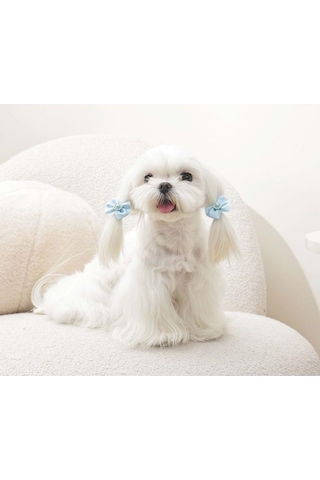 M-pets Glam Fiyonklu Kedi Ve Köpekler İçin Aksesuar Toka Mavi Mavi