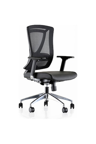 Dekofis Goldsit Ergonomik Çalışma Koltuğu