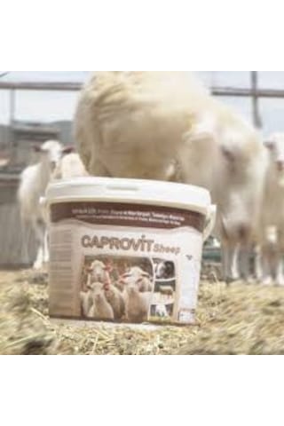 Royal İlaç Royal Caprovit Sheep 25 Kg