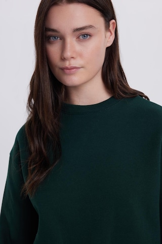 Tudors Kadın Oversize Geniş Kesim Pamuklu Bisiklet Yaka Yeşil Sweatshirt-39930 Yeşil