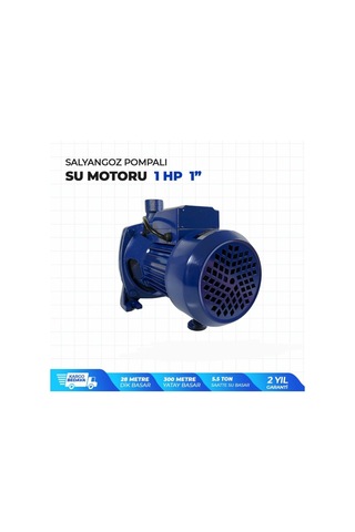 Staxx Power Cpm158 Salyangoz Pompalı Santrifüj Su Motoru 1 Hp 1"