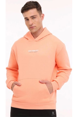 Lumberjack A10188952108010 4w Ml Greys 17urb2015 4pr Somon Erkek Kapsonlu Sweatshırt