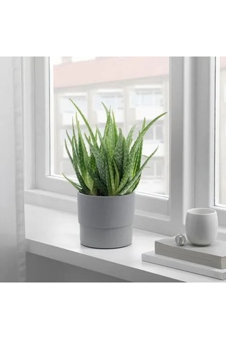 Sumuhome Nypon Dekoratif Plastik Saksı Gri 12 Cm