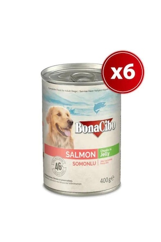 Bonacibo Somonlu Konserve Yetişkin Köpek Maması 6 x 400 G