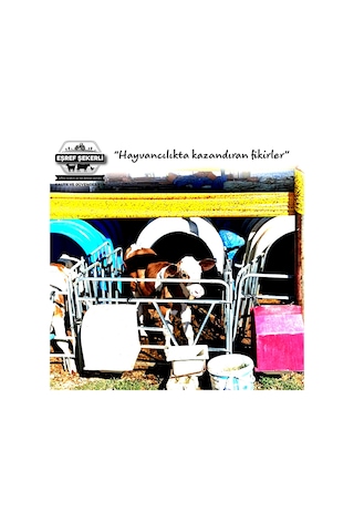 Sarı Sinekle Mücadele Bandı 15 Cmx100 Metre