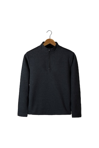 Terapi Men Erkek Füme Yarım Fermuarlı Basic Düz Sweatshirt Füme