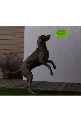 Tchibo Köpekler İçin Frizbi 684735