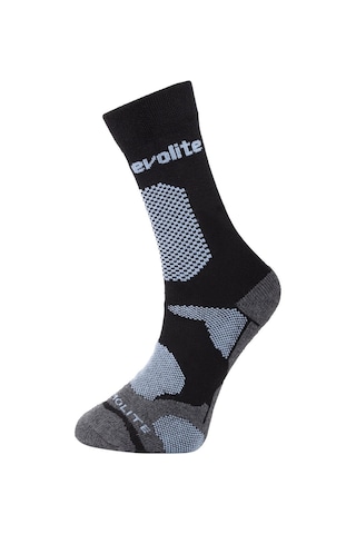 Evolite Snow Thermolite Kışlık Çorap Mavi