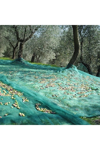 Zeytin Toplama Filesi