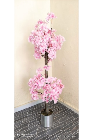 Rüzgar Çiçekcilik 1 Metre Pembe Renk Bahardali Pembe