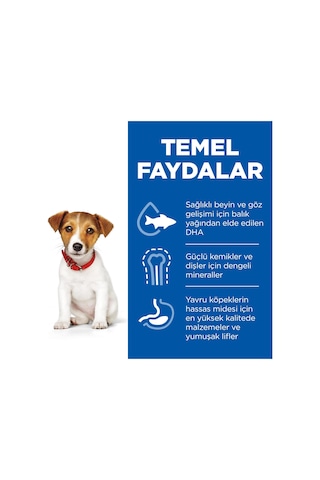 Hill's Scıence Plan Küçük Ve Mini Irk Tavuklu Yavru Köpek Maması 1.5kg