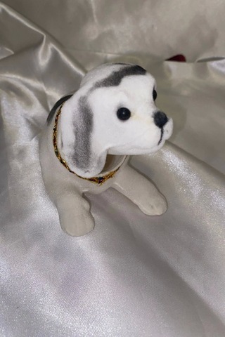 Golden Retriever Kafa Sallayan Köpek Başını Sallayan Köpek Sallanan Köpek Beyaz