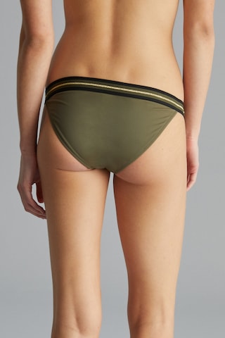 Penti Lucca Super Bikini Altı