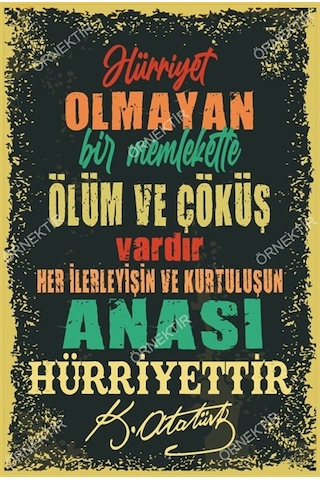 Hürriyet olmayan bir memlekette ölüm ve çöküş vardır Atatürk Duva