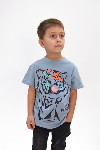 Luess Erkek Çocuk Kaplan Baskılı Tshirt-mavi Mavi