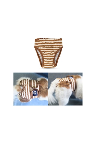 Pet Çizgili Fizyolojik Pantolon Köpek Adet Pantolonu, Boyut: S Kahverengi