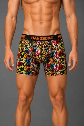 Brem Handsome Gülücük Desenli Erkek Boxer Çok Renkli