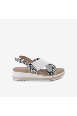IGI&Co Sandalet Kadın 1186622 Igı&co Dpt 11866 Roccia Taş