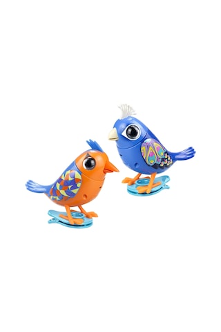Digibirds İkili Paket Seri 1